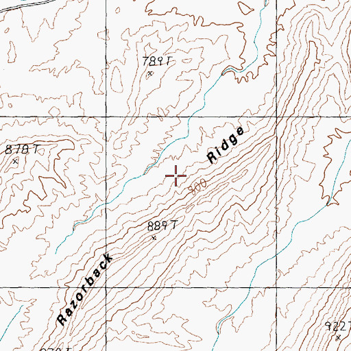 Topographic Map of Razorback Ridge, NV