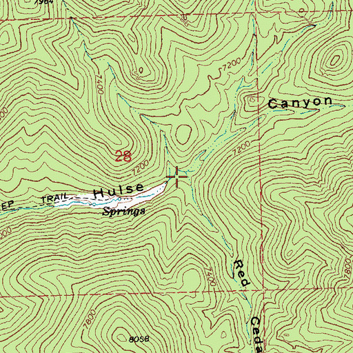 Topographic Map of Red Cedar Canyon, NV