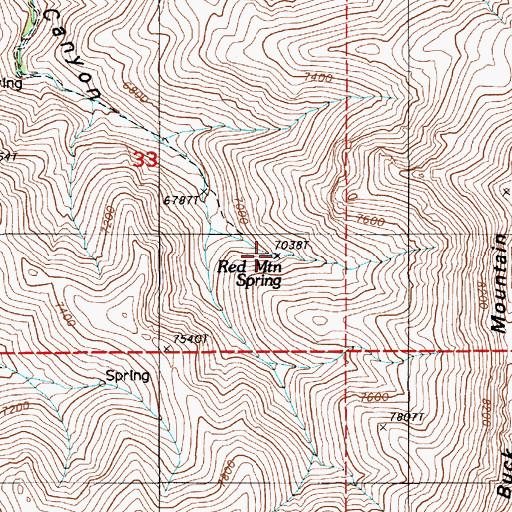 Topographic Map of Red Mountain Spring, NV