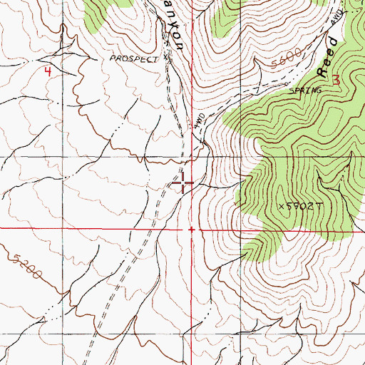 Topographic Map of Reed Canyon, NV