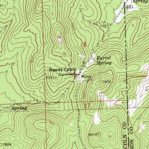 Topographic Map of Reeds Cabin Summit, NV
