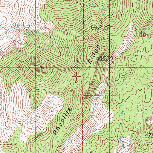 Topographic Map of Rhyolite Ridge, NV