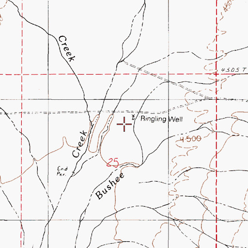 Topographic Map of Ringing Well, NV