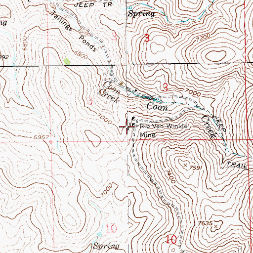Topographic Map of Rip Van Winkle Mine, NV
