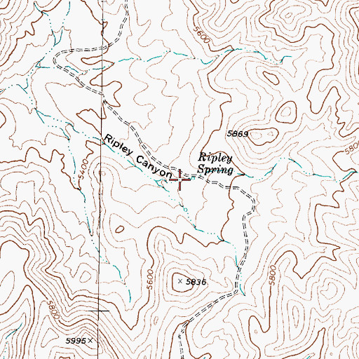 Topographic Map of Ripley Spring, NV