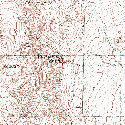 Topographic Map of Rocky Point Spring, NV