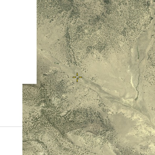 Aerial/Satellite Image of Roe Deer Spring, NV
