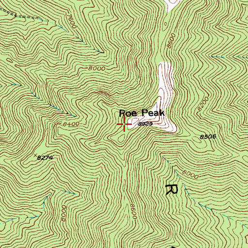 Topographic Map of Roe Peak, NV
