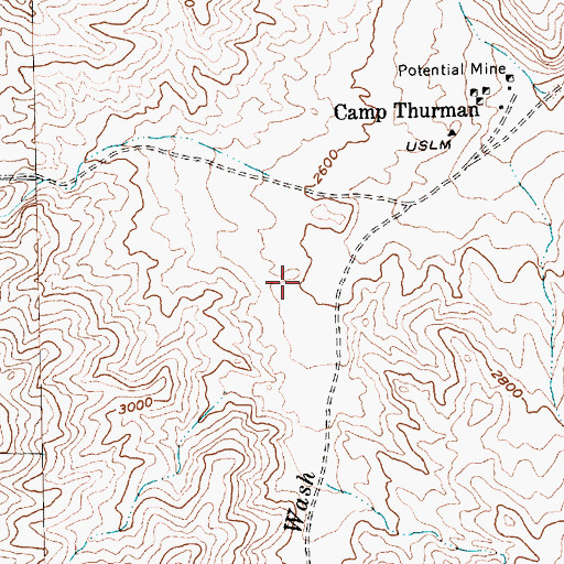 Topographic Map of Roman Wash, NV