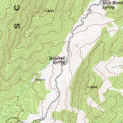 Topographic Map of Rosebud Spring, NV