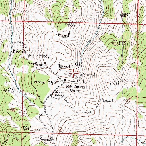 Topographic Map of Ruby Hill Mine, NV