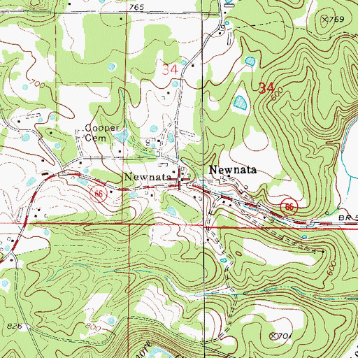 Topographic Map of Newnata Post Office (historical), AR