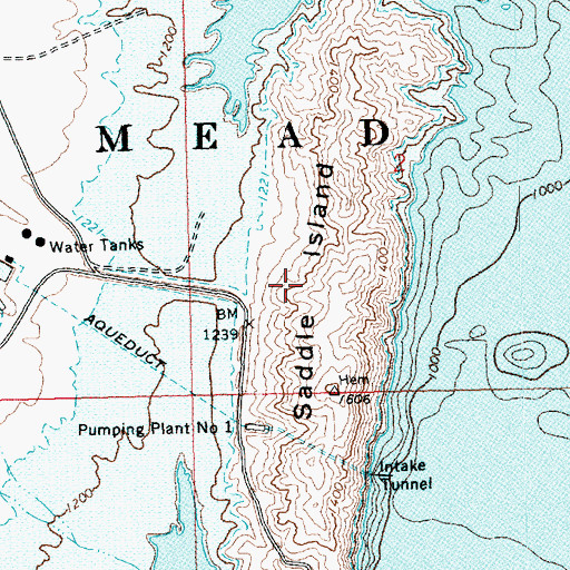 Topographic Map of Saddle Island, NV