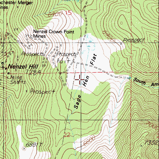 Topographic Map of Sage Hen Flat, NV