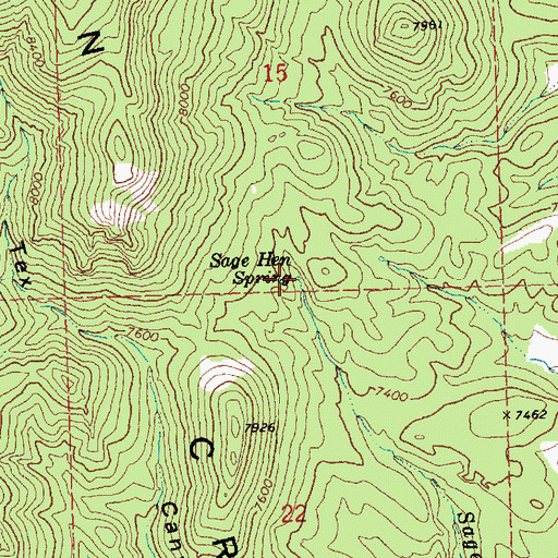 Topographic Map of Sage Hen Spring, NV