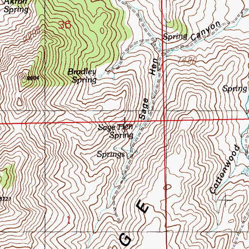 Topographic Map of Sage Hen Spring, NV