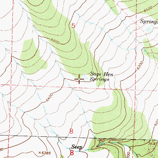 Topographic Map of Sage Hen Springs, NV