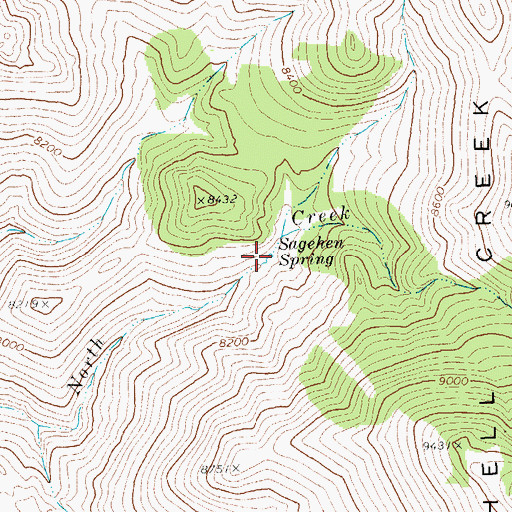 Topographic Map of Sagehen Spring, NV