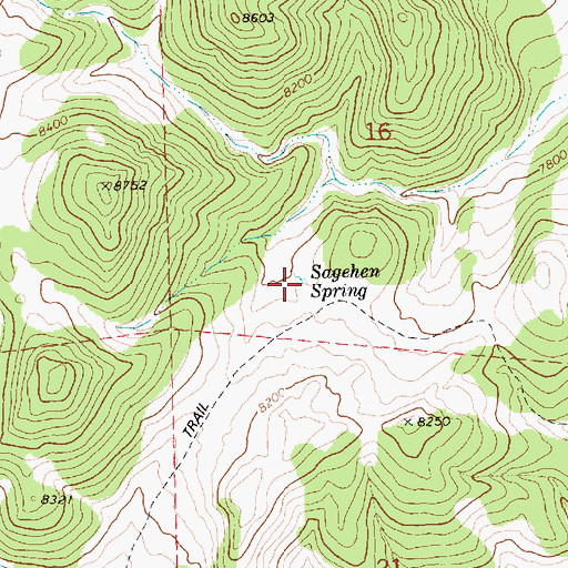 Topographic Map of Sagehen Spring, NV