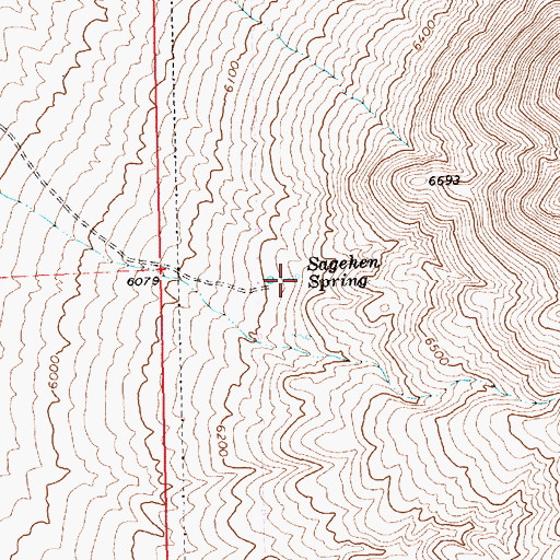 Topographic Map of Sagehen Spring, NV