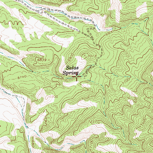 Topographic Map of Salas Spring, NV