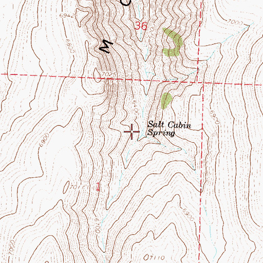 Topographic Map of Salt Cabin Spring, NV