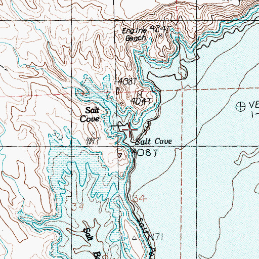 Topographic Map of Salt Cove, NV