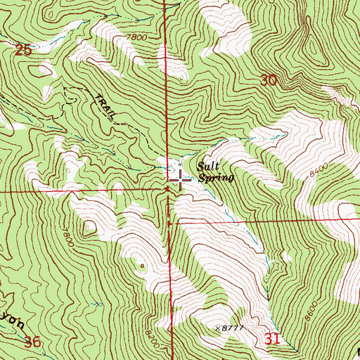 Topographic Map of Salt Spring, NV