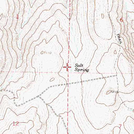 Topographic Map of Salt Spring, NV