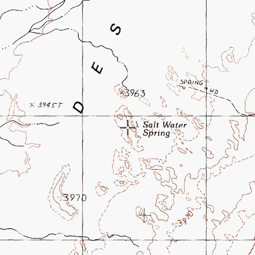 Topographic Map of Salt Water Spring, NV