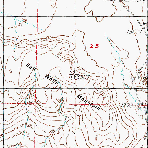 Topographic Map of Salt Wells Mountain, NV