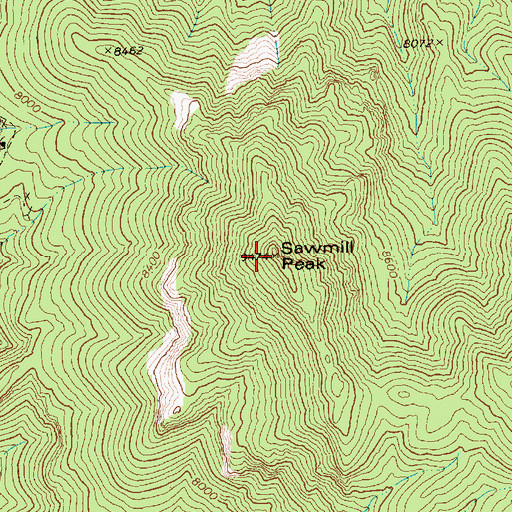 Topographic Map of Sawmill Peak, NV