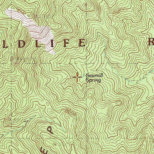 Topographic Map of Sawmill Spring, NV