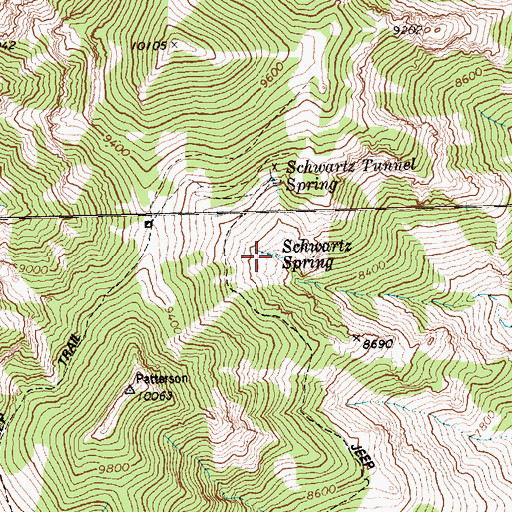 Topographic Map of Schwartz Spring, NV