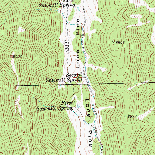 Topographic Map of Second Sawmill Spring, NV