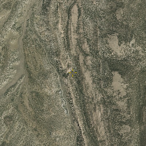 Aerial/Satellite Image of Seep Spring, NV