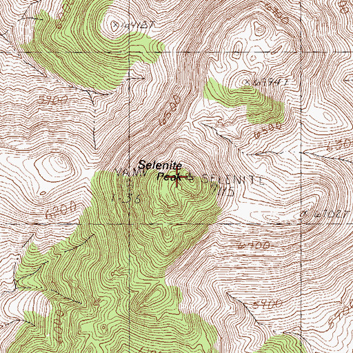 Topographic Map of Selenite Peak, NV