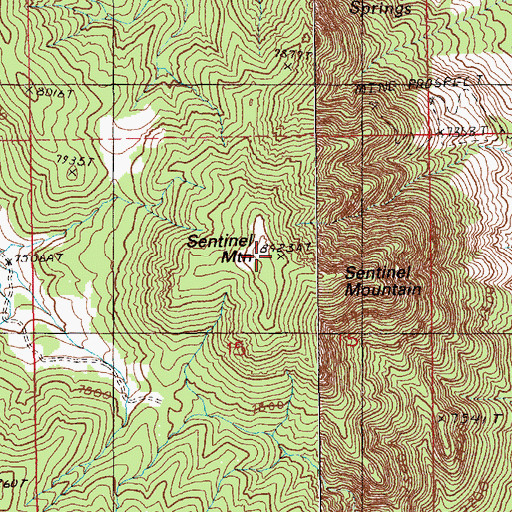 Topographic Map of Sentinel Mountain, NV