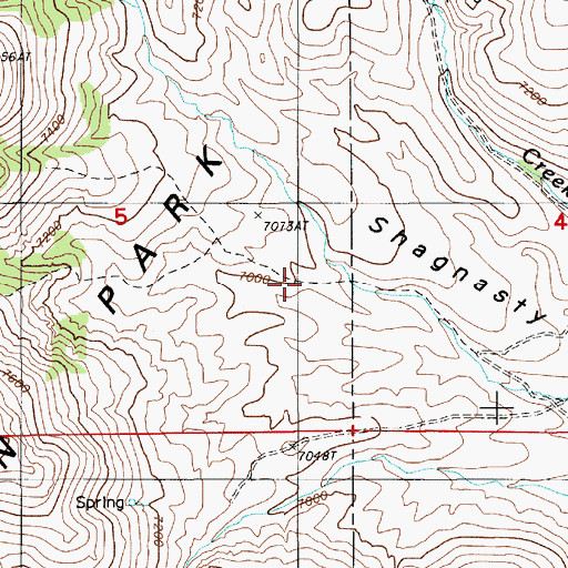 Topographic Map of Shagnasty Basin, NV