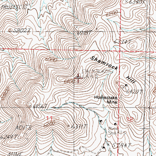Topographic Map of Shamrock Hill, NV