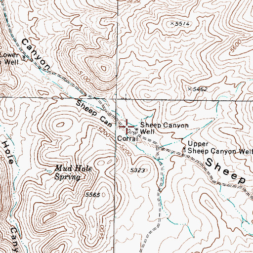 Topographic Map of Sheep Canyon Well, NV