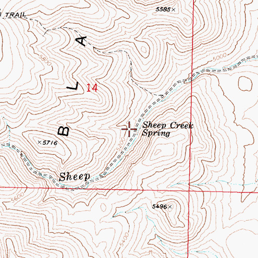 Topographic Map of Sheep Creek Spring, NV