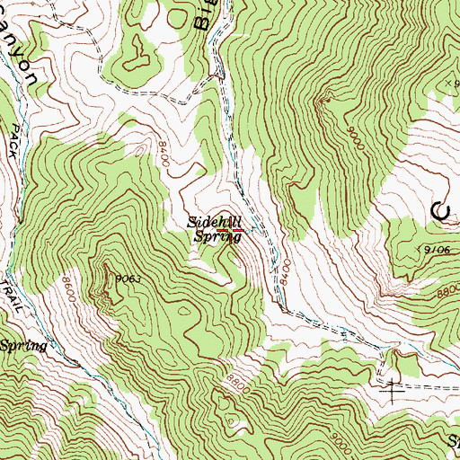 Topographic Map of Sidehill Spring, NV