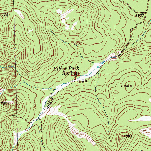 Topographic Map of Silver Park Springs, NV