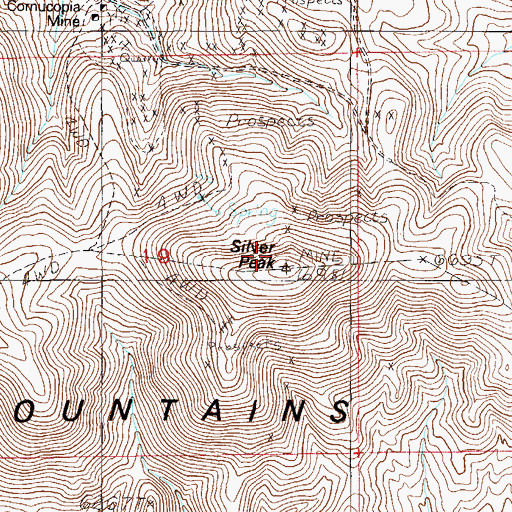 Topographic Map of Silver Peak, NV