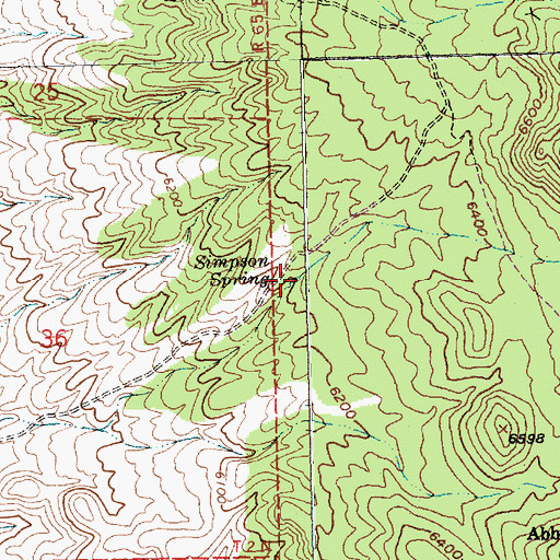 Topographic Map of Simpson Spring, NV