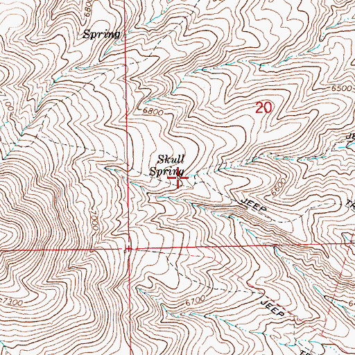 Topographic Map of Skull Spring, NV