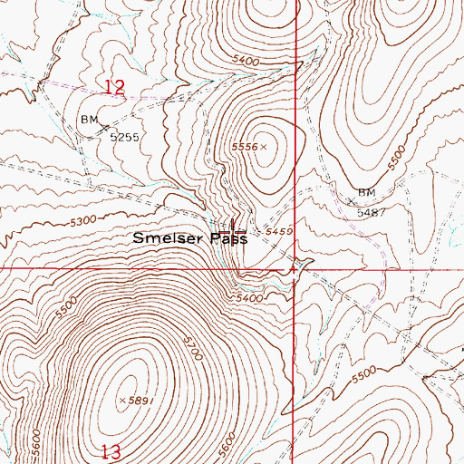 Topographic Map of Smelser Pass, NV