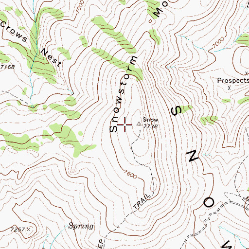 Topographic Map of Snowstorm Mountain, NV