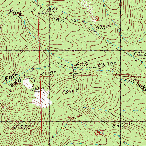 Topographic Map of South Fork Chokecherry Creek, NV